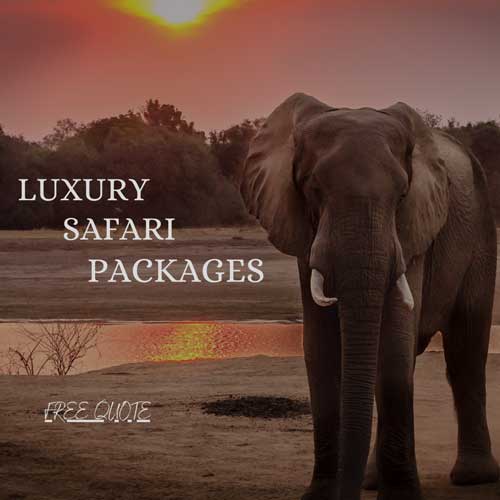call for Luxury booking